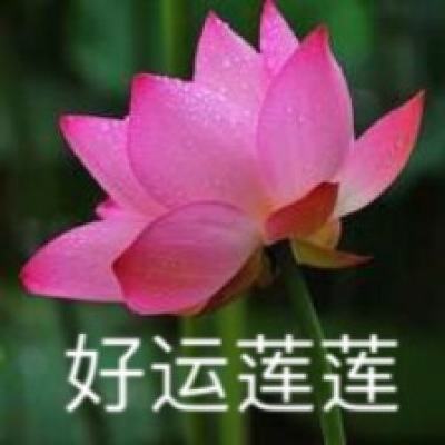 中青网评丨中国正能量：让主旋律升腾烟火气